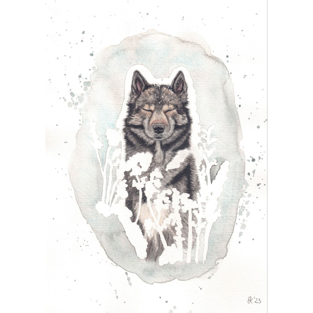 Wolf