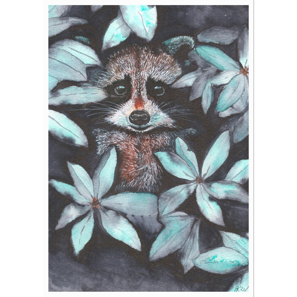 Waschbär im Wald